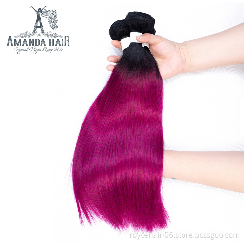 Amanda Wholesale Price Cuticle Aligned Human Hair Bundles with Closure Two tone color Hair T1b Purple